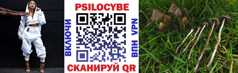 Псилоцибиновые грибы мухоморы  Баймак 